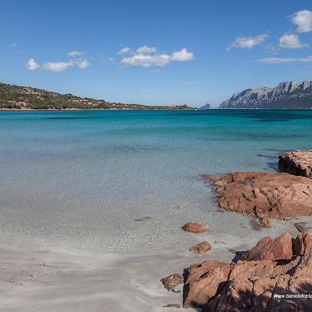 Aria Di Vacanza - Gelsi Olbia Dış mekan fotoğraf