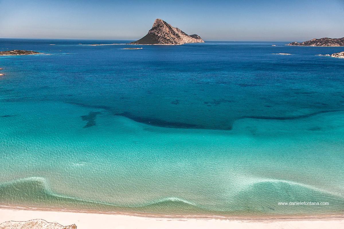 Aria Di Vacanza - Gelsi Olbia Dış mekan fotoğraf