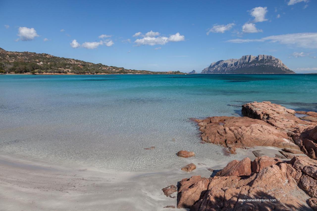 Aria Di Vacanza - Gelsi Olbia Dış mekan fotoğraf