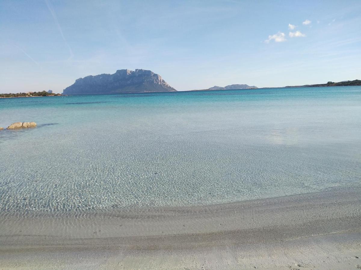 Aria Di Vacanza - Gelsi Olbia Dış mekan fotoğraf